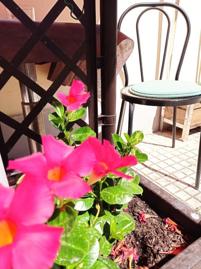 פיזה B&B Toscana מראה חיצוני תמונה